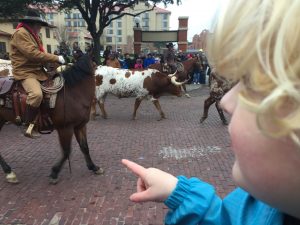 Michah at Stockyards